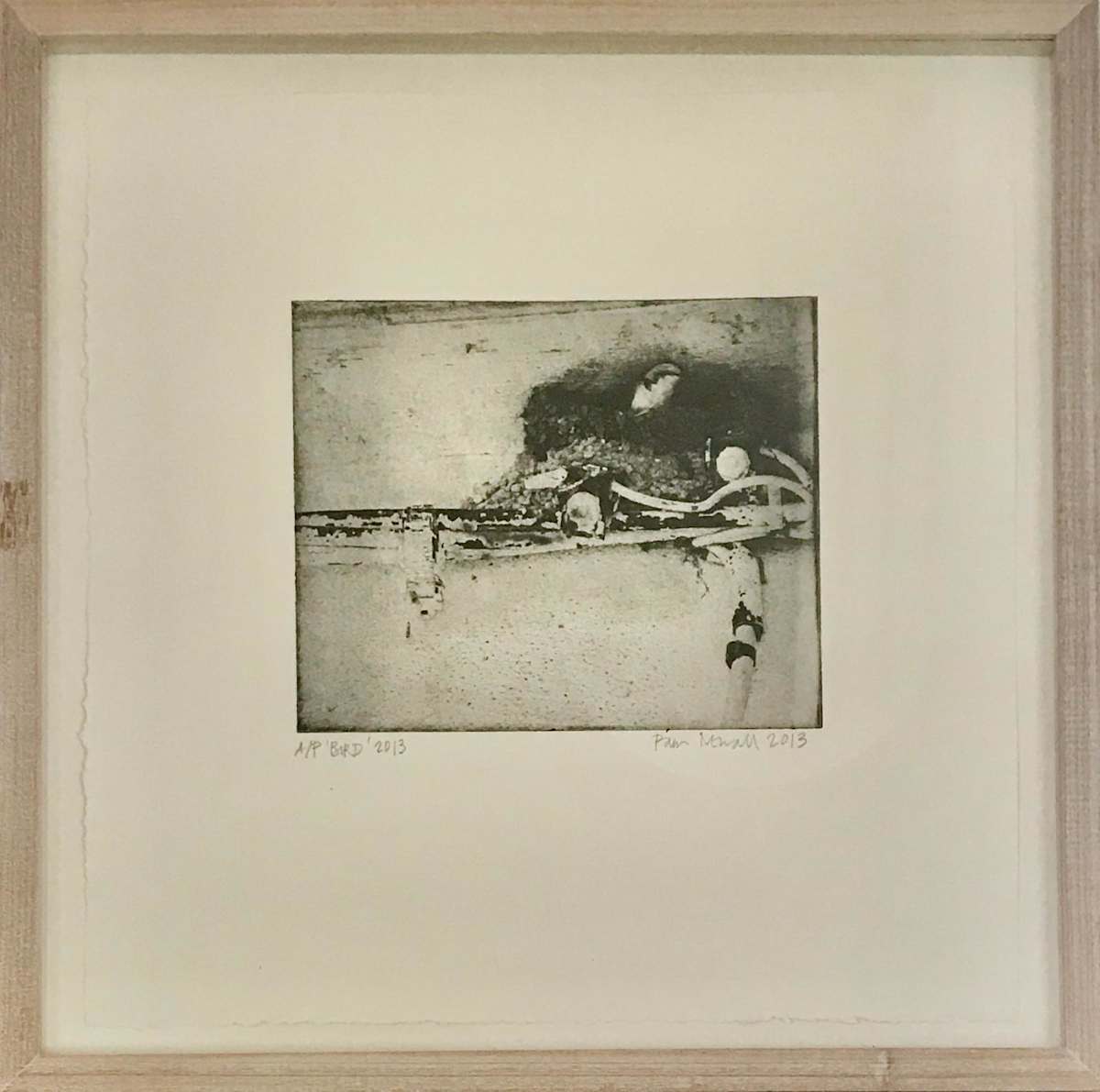 Bird by Pam Newall 