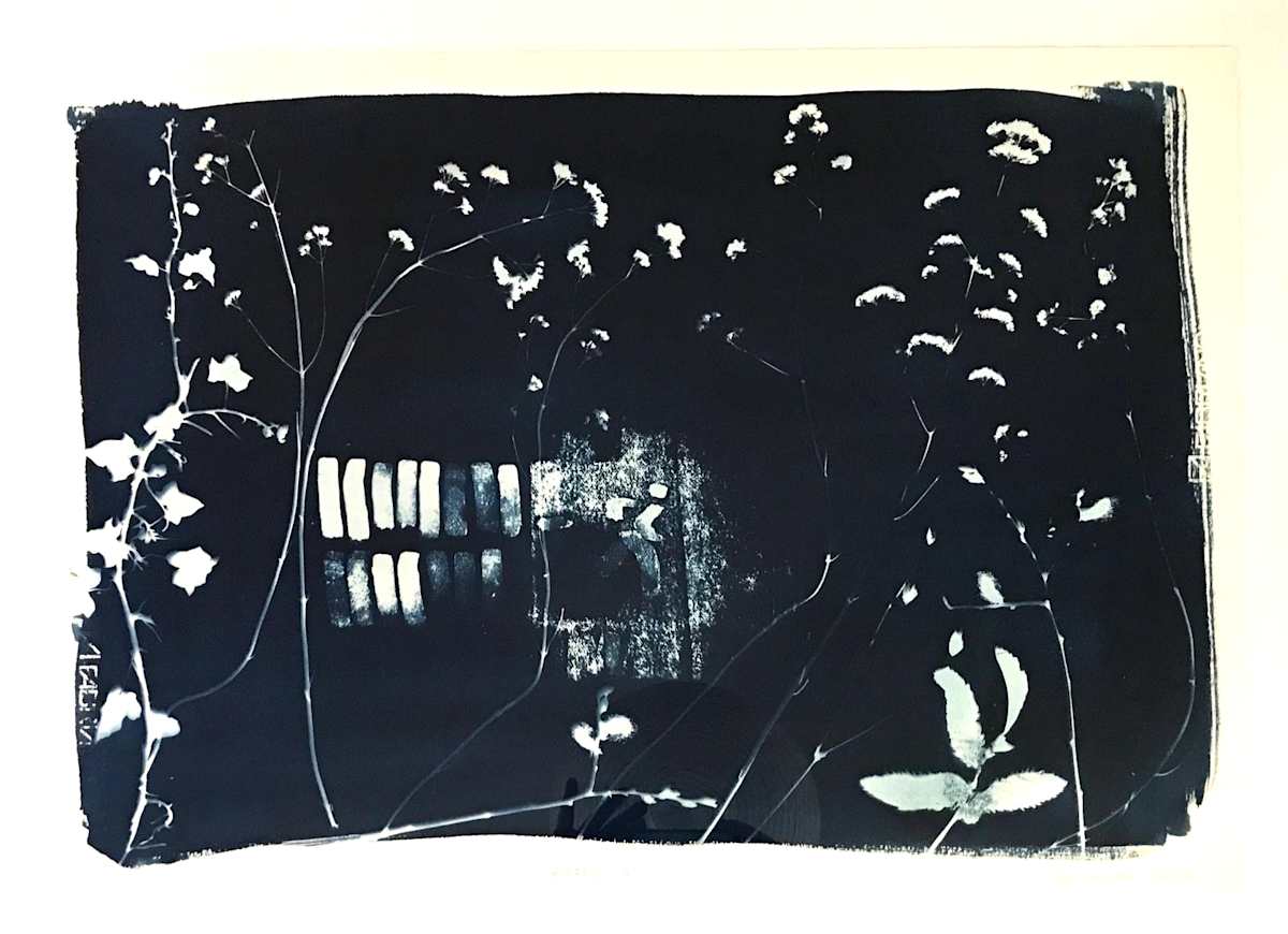 8 April ii by Pam Newall 