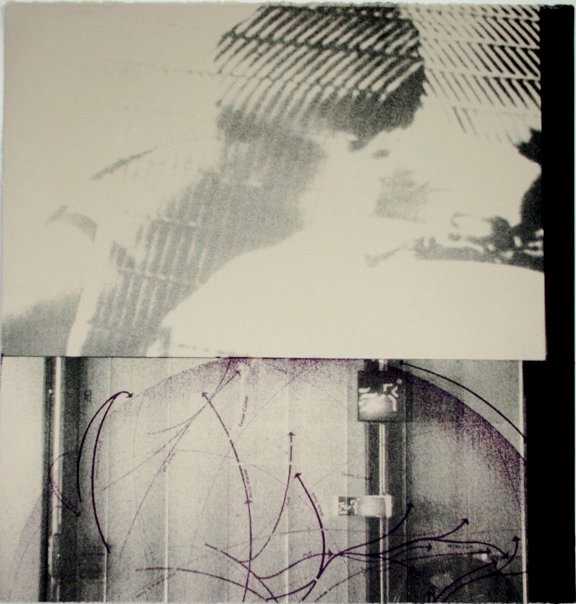 Migration by Pam Newall 