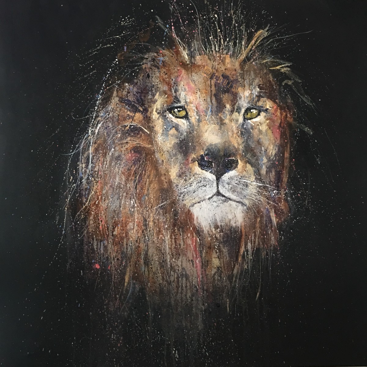 Midnight Lion by Louise Luton 