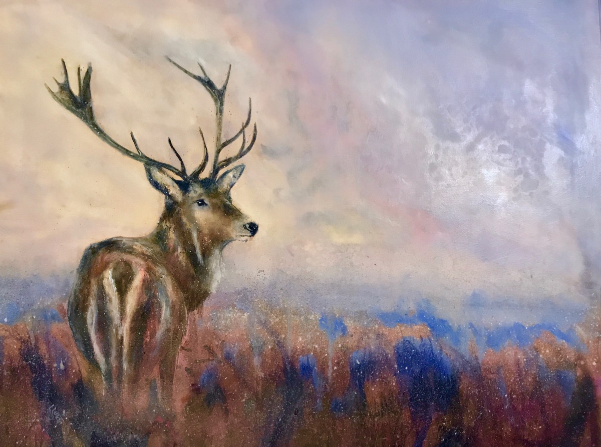 Stag in the frosty dawn light by Louise Luton 