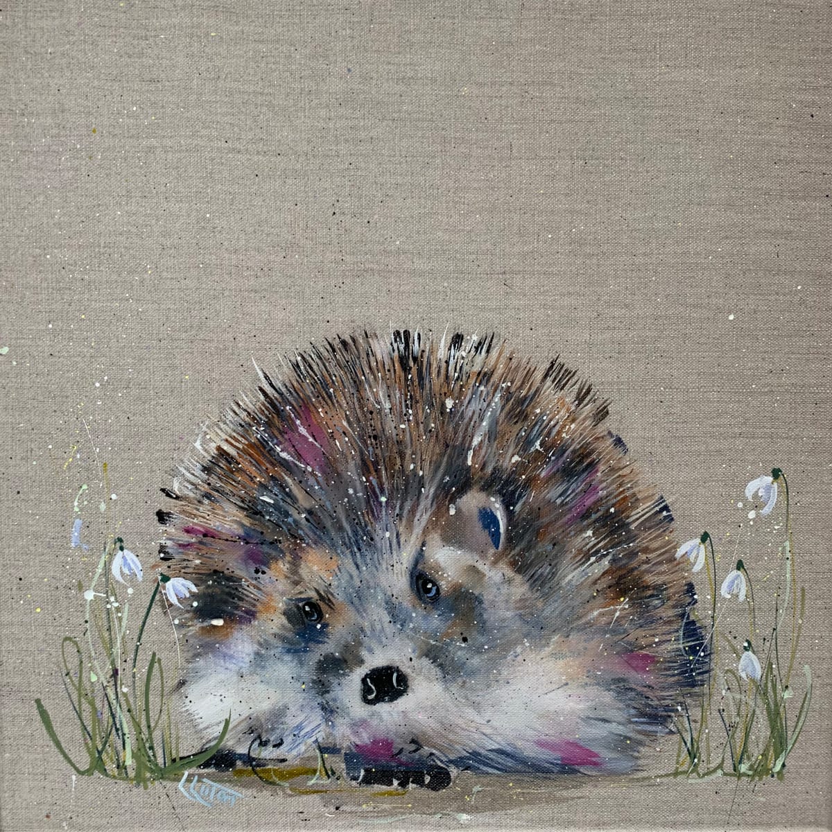 Hedgehog in snowdrops by Louise Luton 