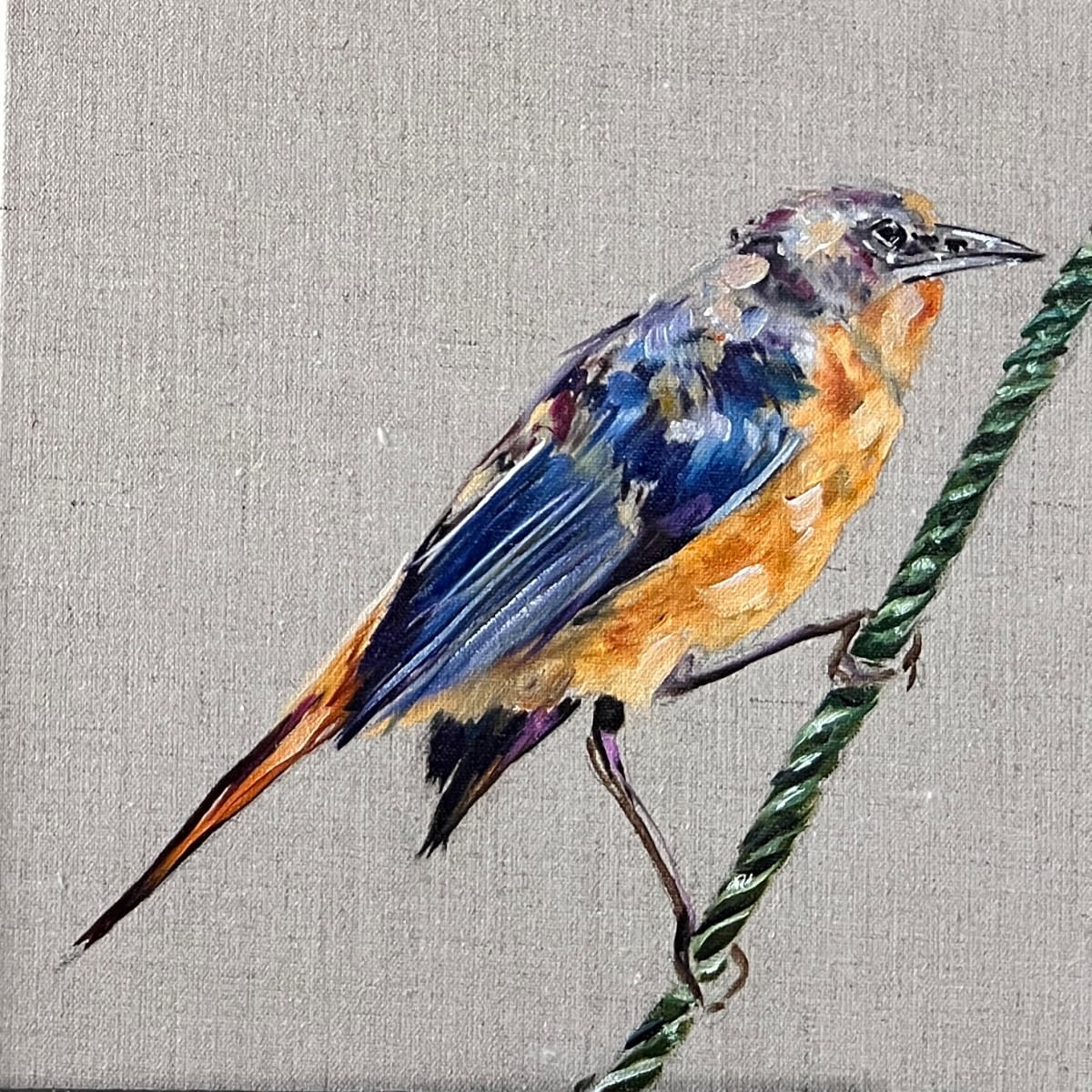 Swynnerton's robin by Louise Luton, Image 8.