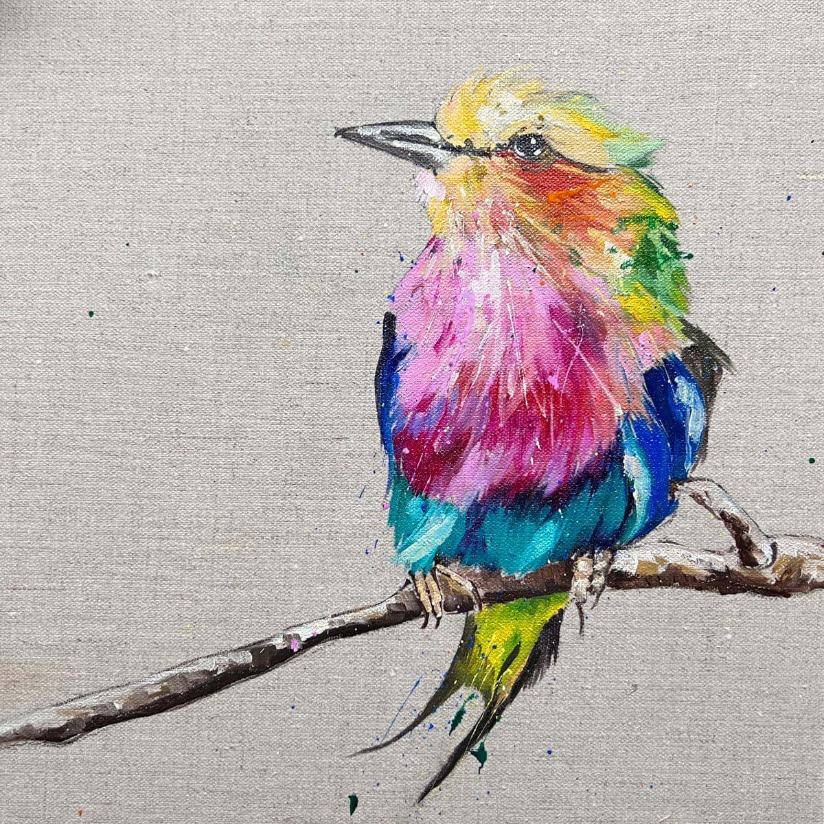 Little lilac breasted roller by Louise Luton, Image 9.
