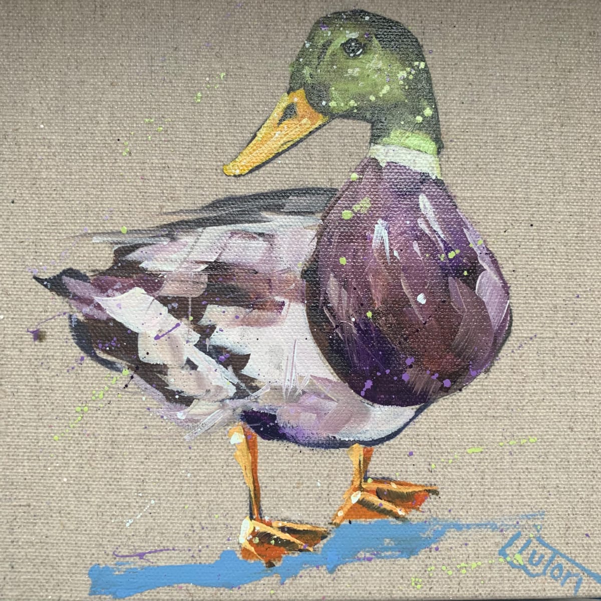 Little Mallard by Louise Luton 