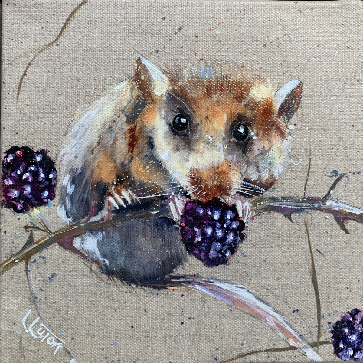 little dormouse and blackberries by Louise Luton 