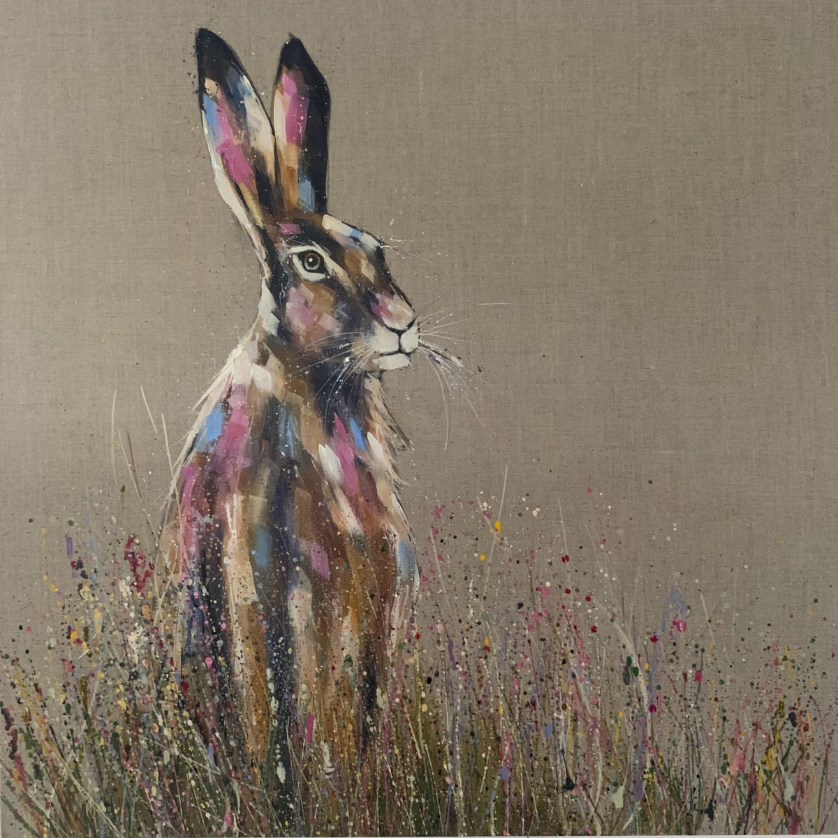Midsummer hare, Image 4.