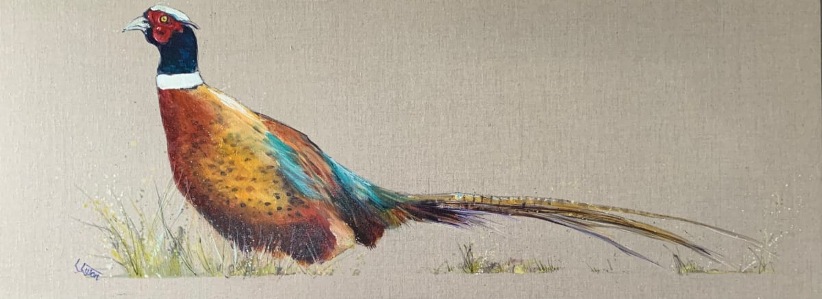 Glorious Autumn pheasant, Image 1.