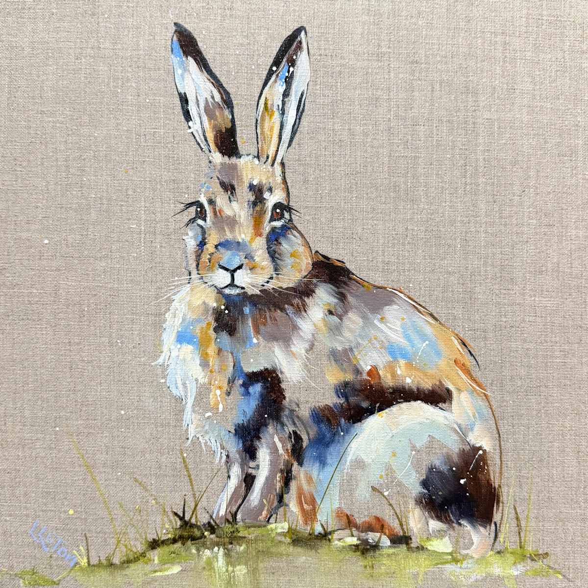 Little mountain hare by Louise Luton, Image 11.