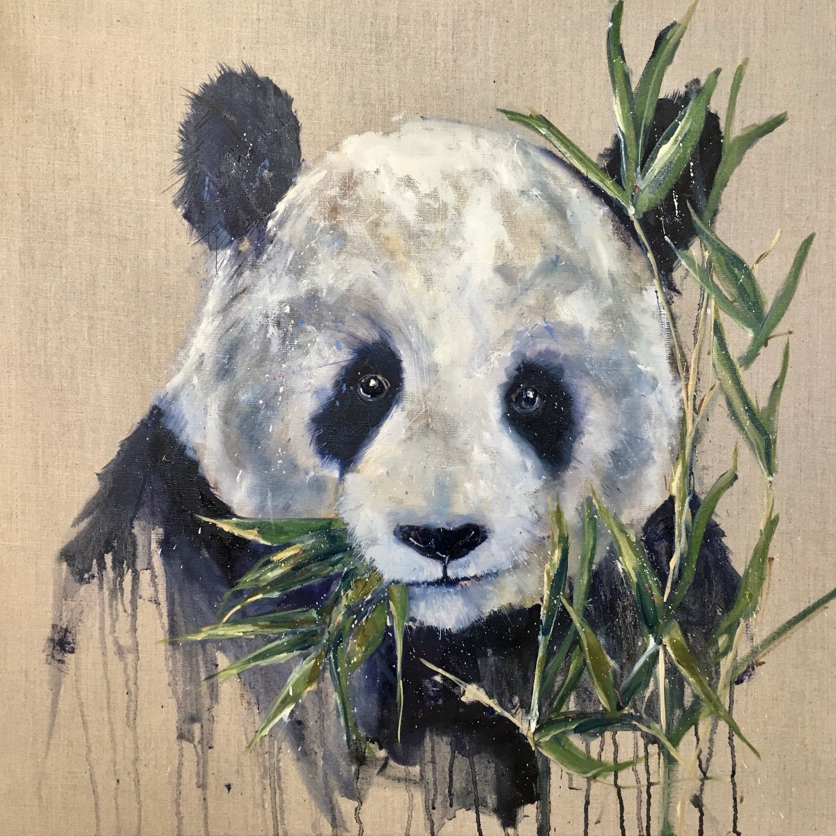 Tian Tian by Louise Luton 