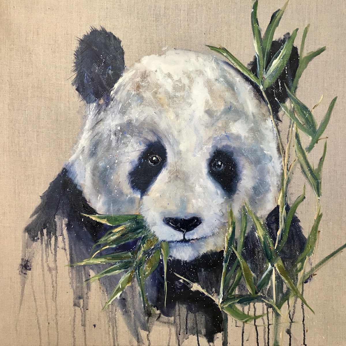 Tian Tian by Louise Luton, Image 1.