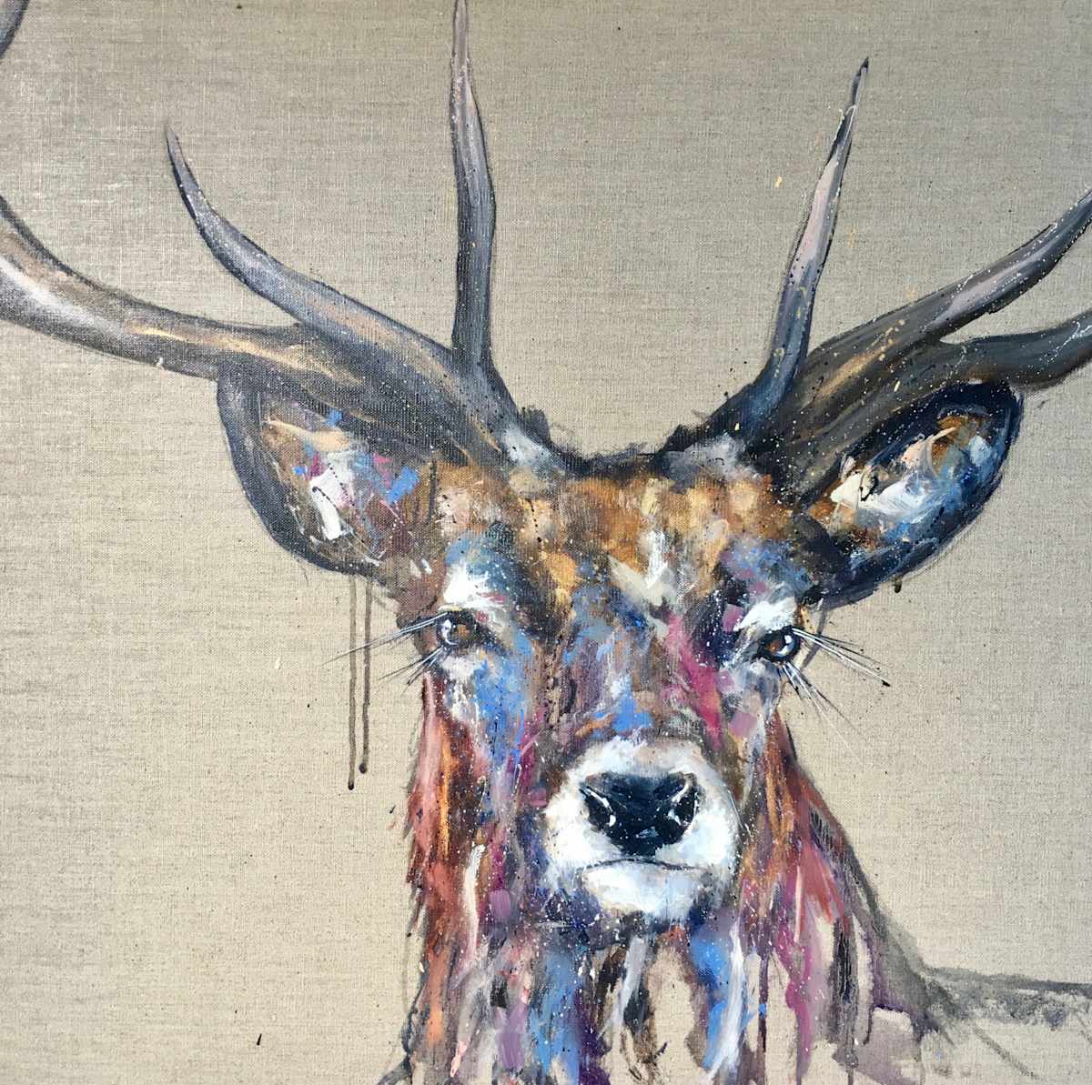 "Brody" by Louise Luton, Image 1.