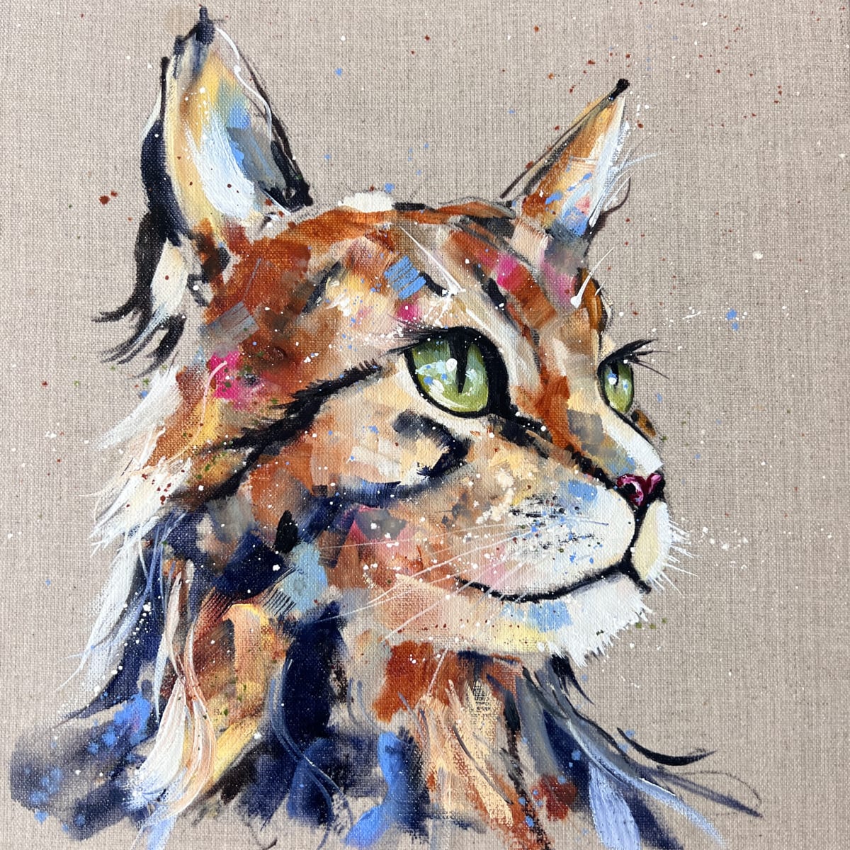 little tabby by Louise Luton 