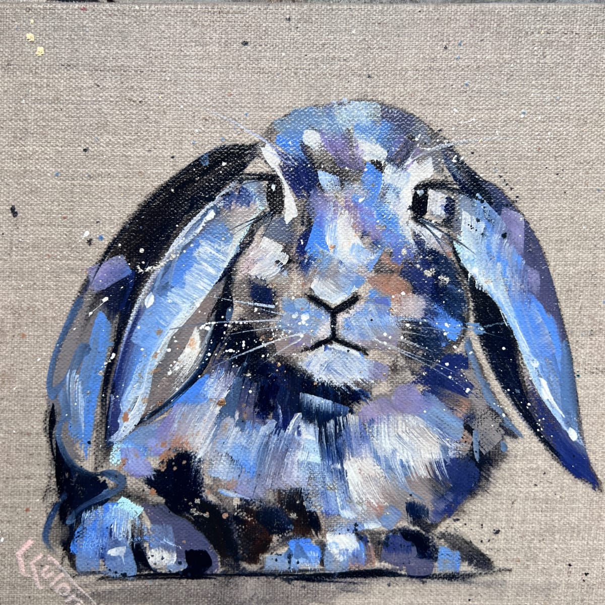 Little lop eared rabbit by Louise Luton 