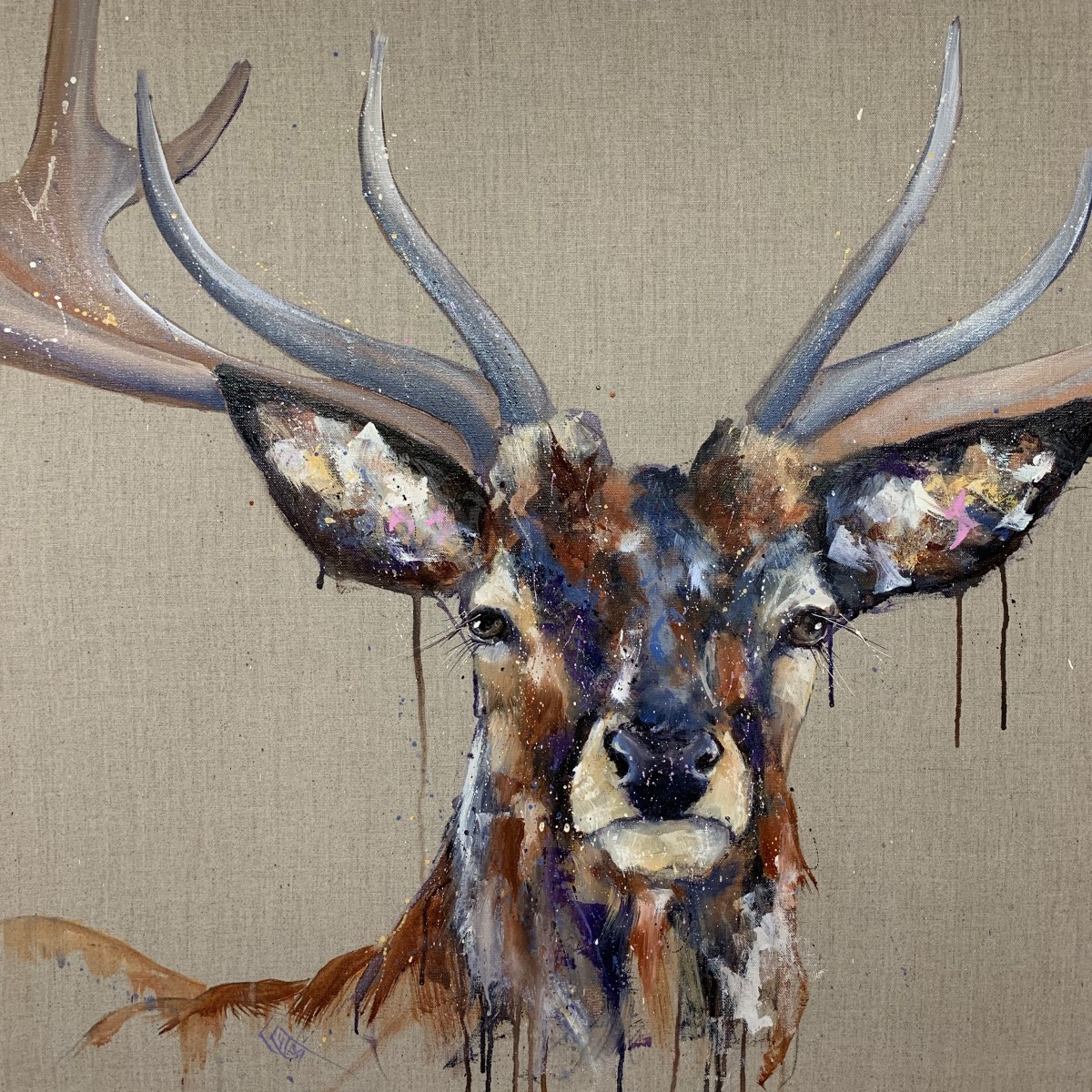 Mackinnon by Louise Luton 