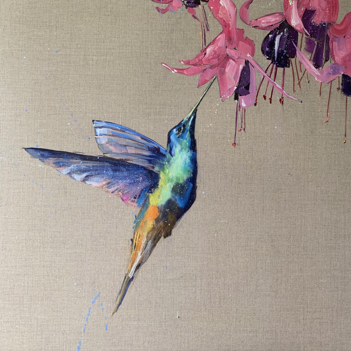 Hummingbird and the fuscia by Louise Luton 