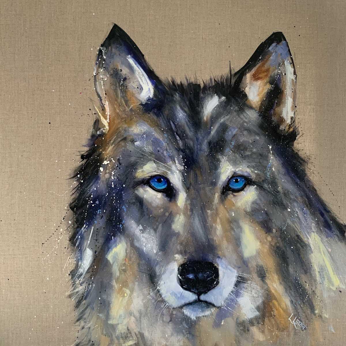 Jango by Louise Luton, Image 1.