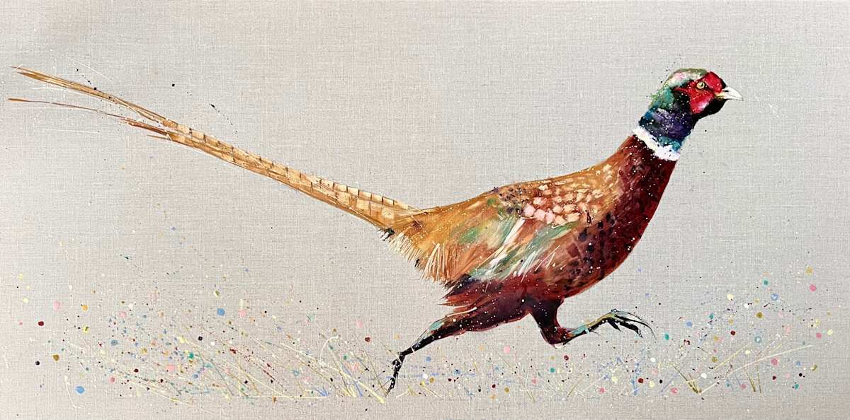 Flash the pheasant by Louise Luton 