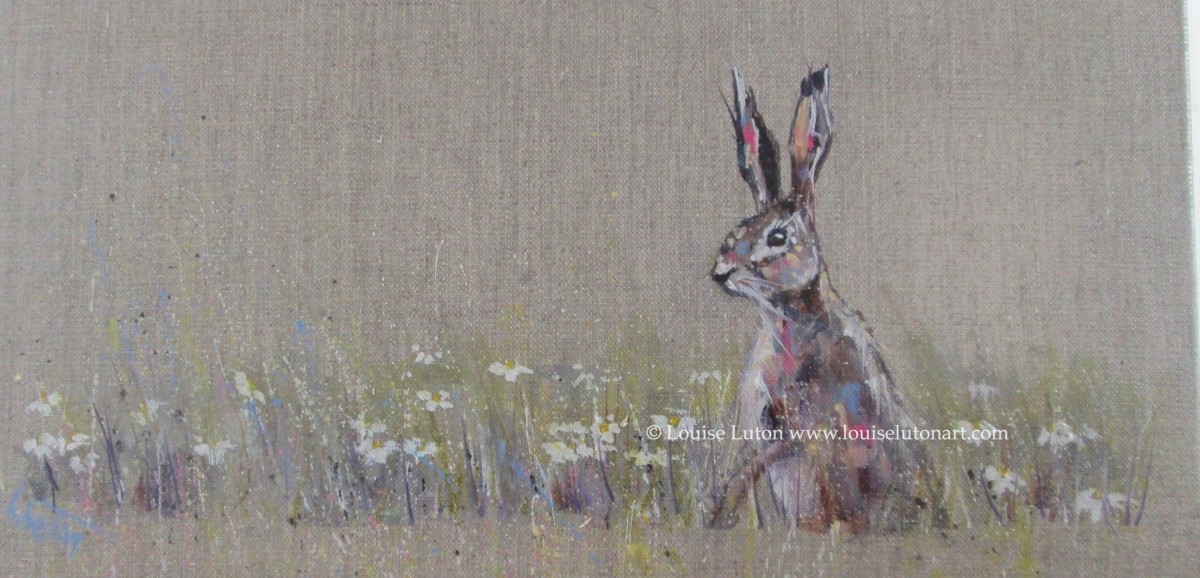 Hare in the daisies by Louise Luton 