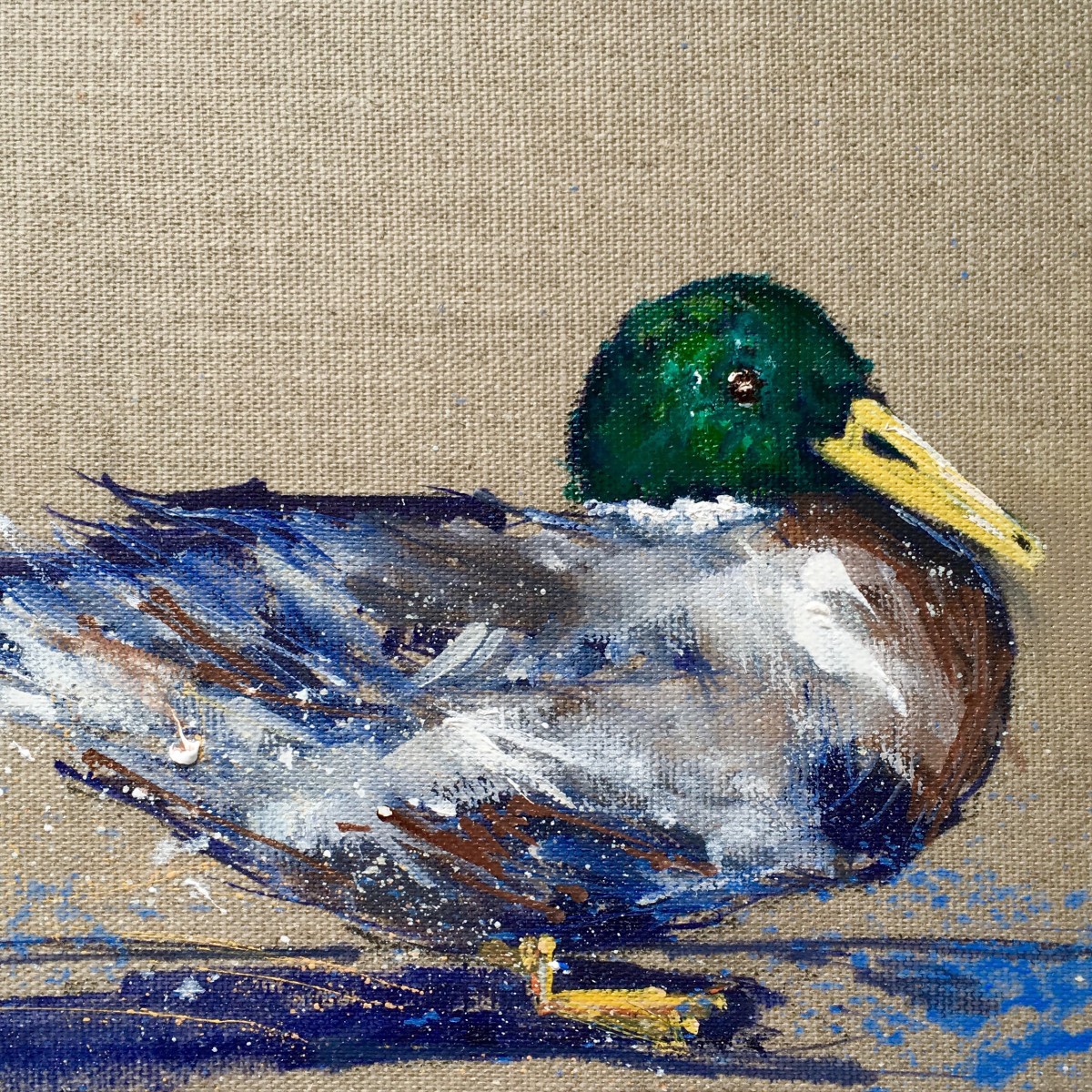 Mr Mallard by Louise Luton 