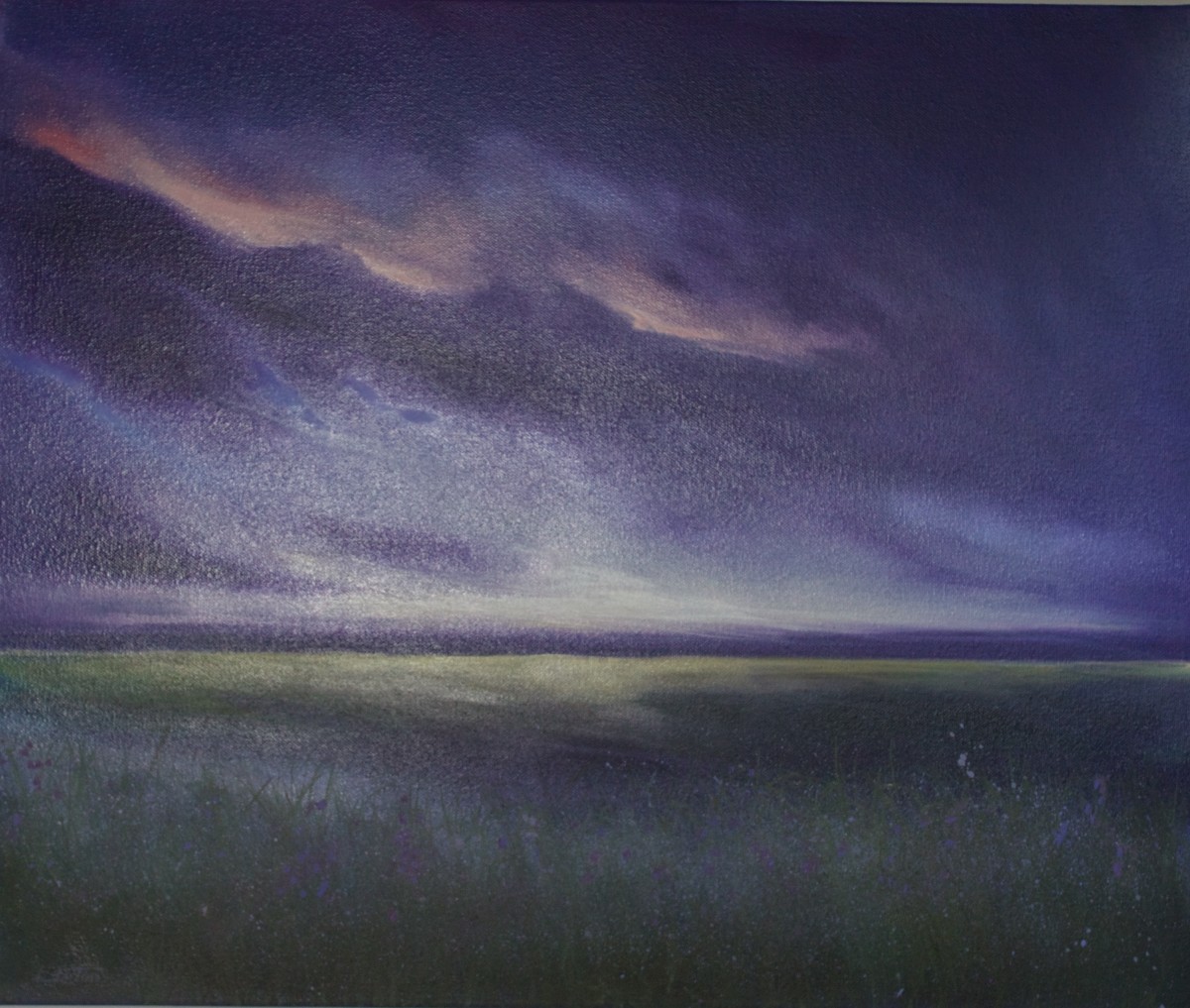 Purple sky lights up the meadows by Louise Luton 