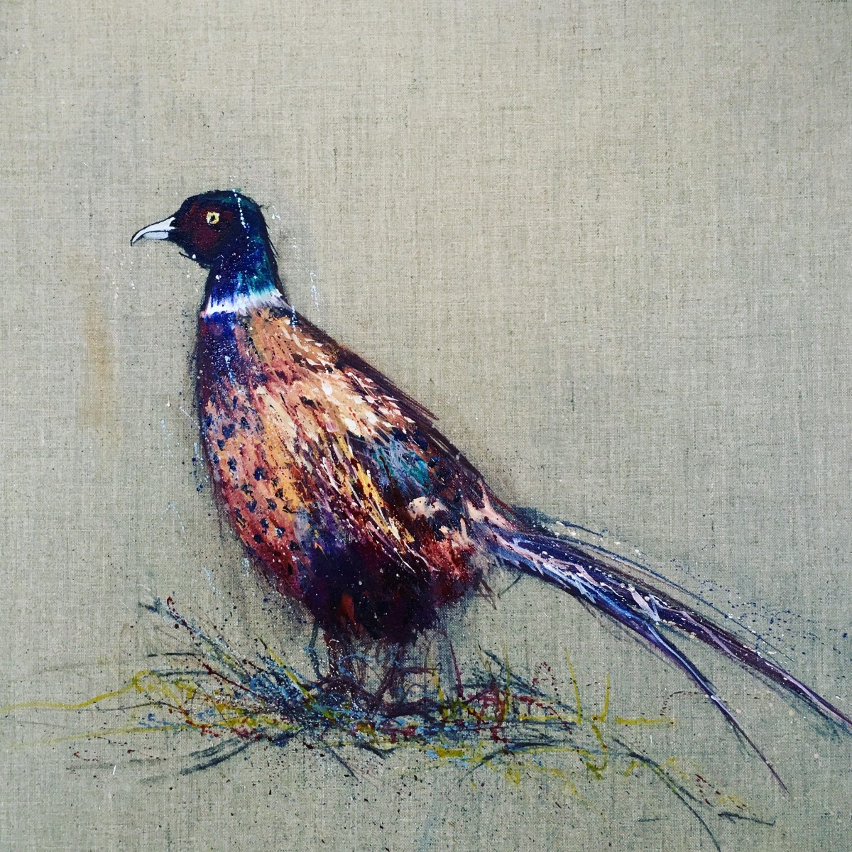 Resplendent pheasant by Louise Luton 