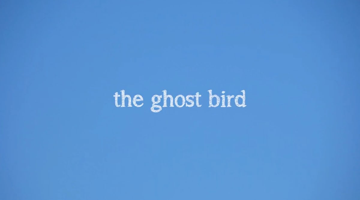 The Ghost Bird by Julia Oldham 