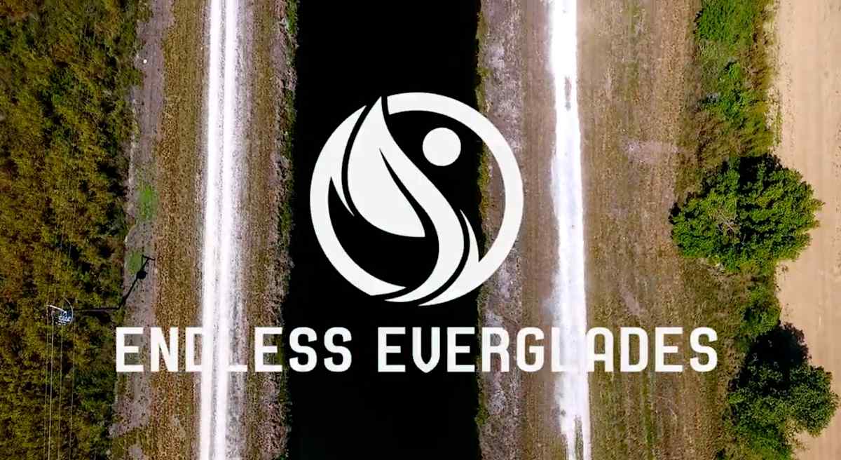 Endless Everglades by Carlos Rigau 