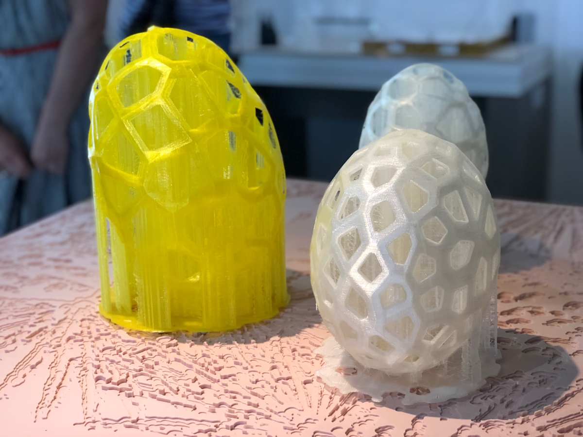 Serenoa repens Matrix by Robert Chambers 