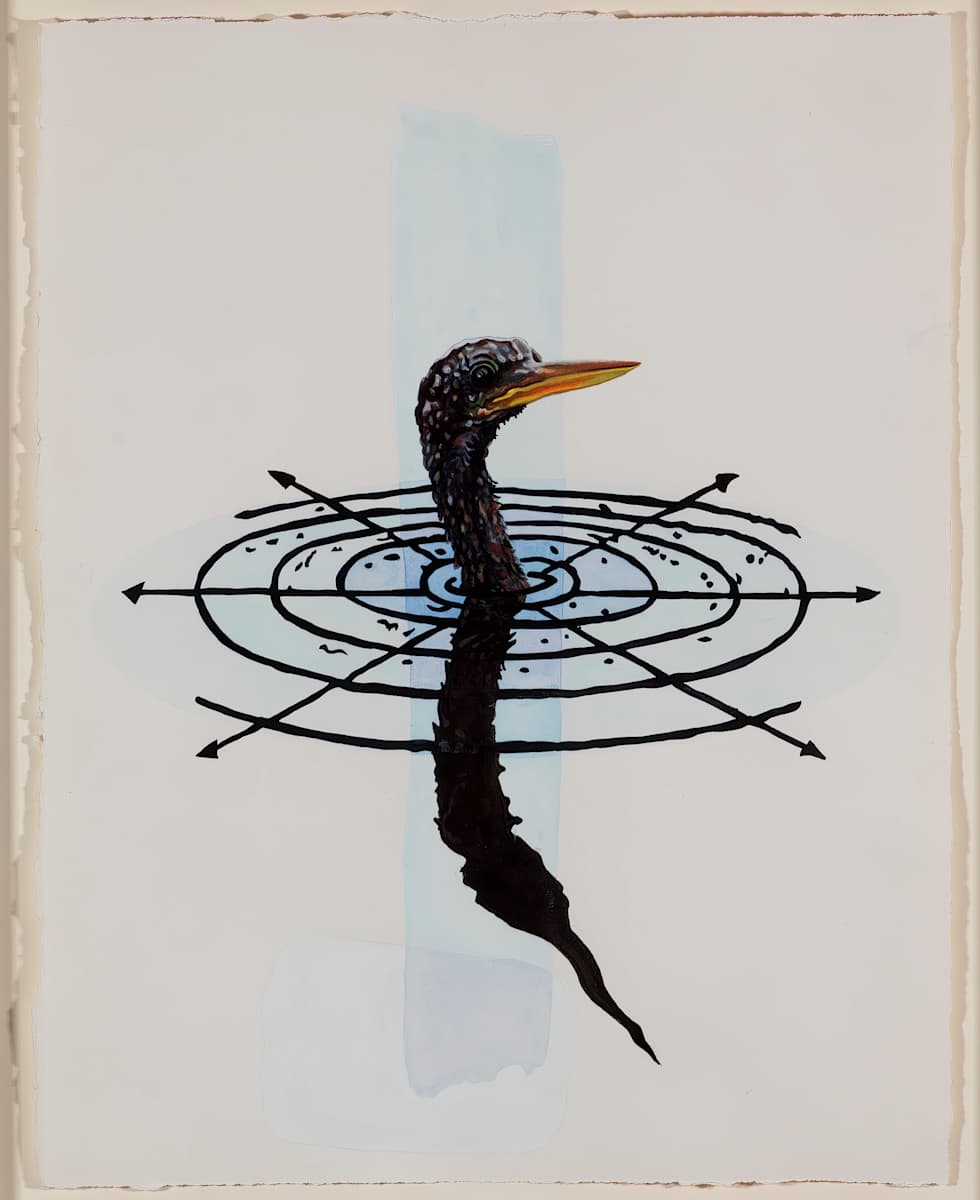 Oscellation Study (Anhinga) by Christopher Reiger 