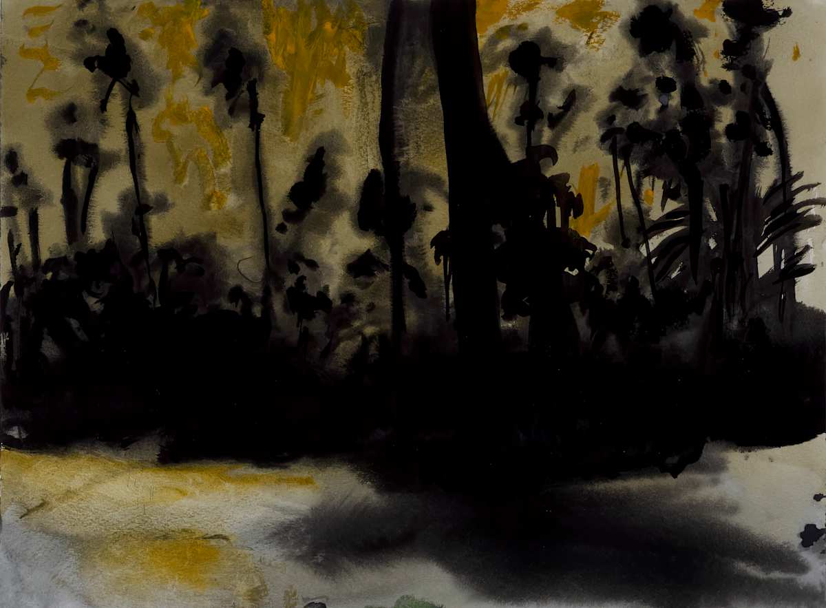 Sunrise in the Everglades by Rodney Dickson 
