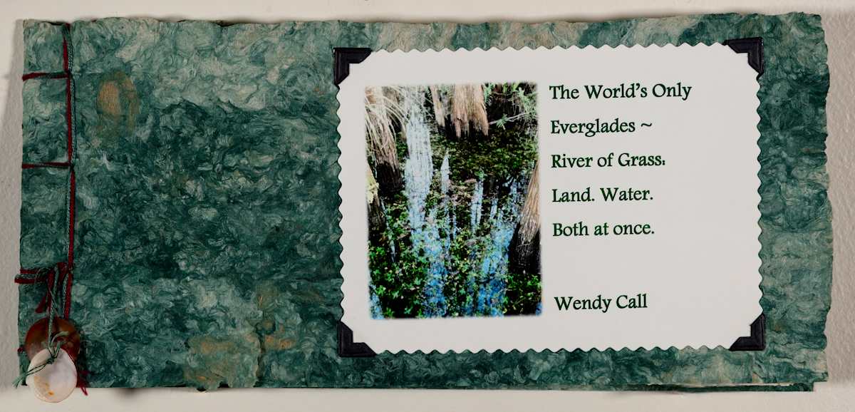The World's Only Everglades ~ River of Grass: Land. Water. Both at Once by Wendy Call 