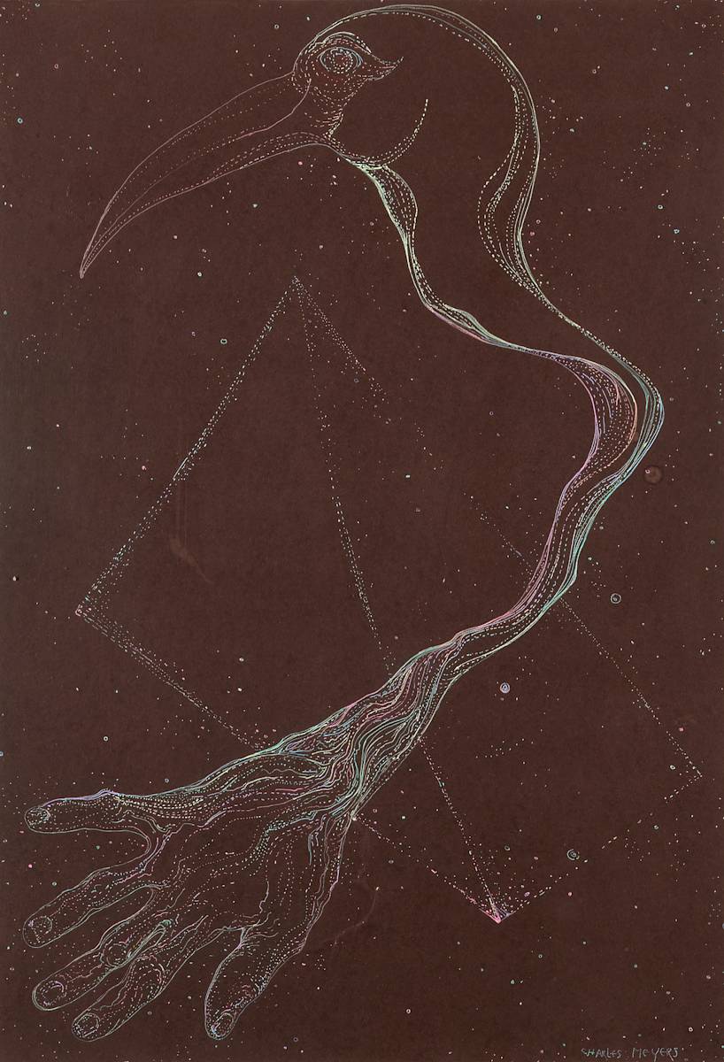 Ibis hand by Charles Meyers 