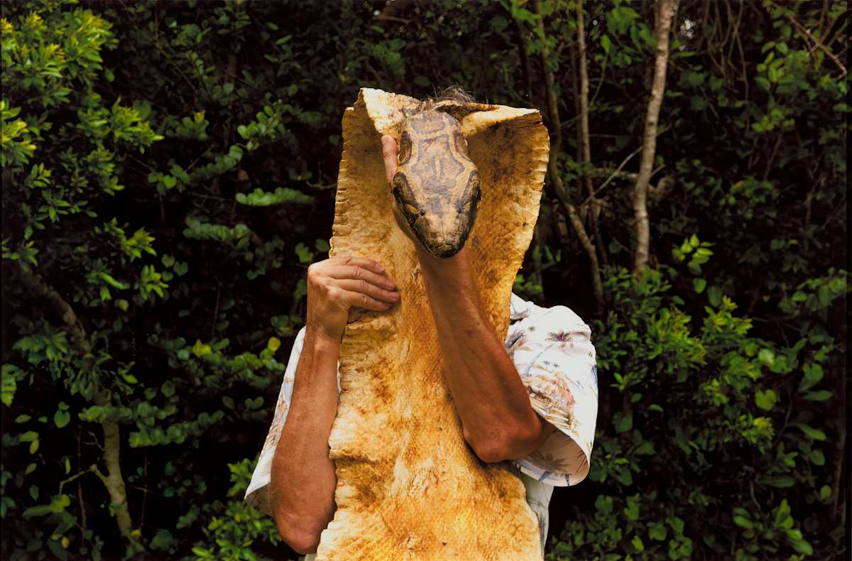 Snakemask by Dana Levy 
