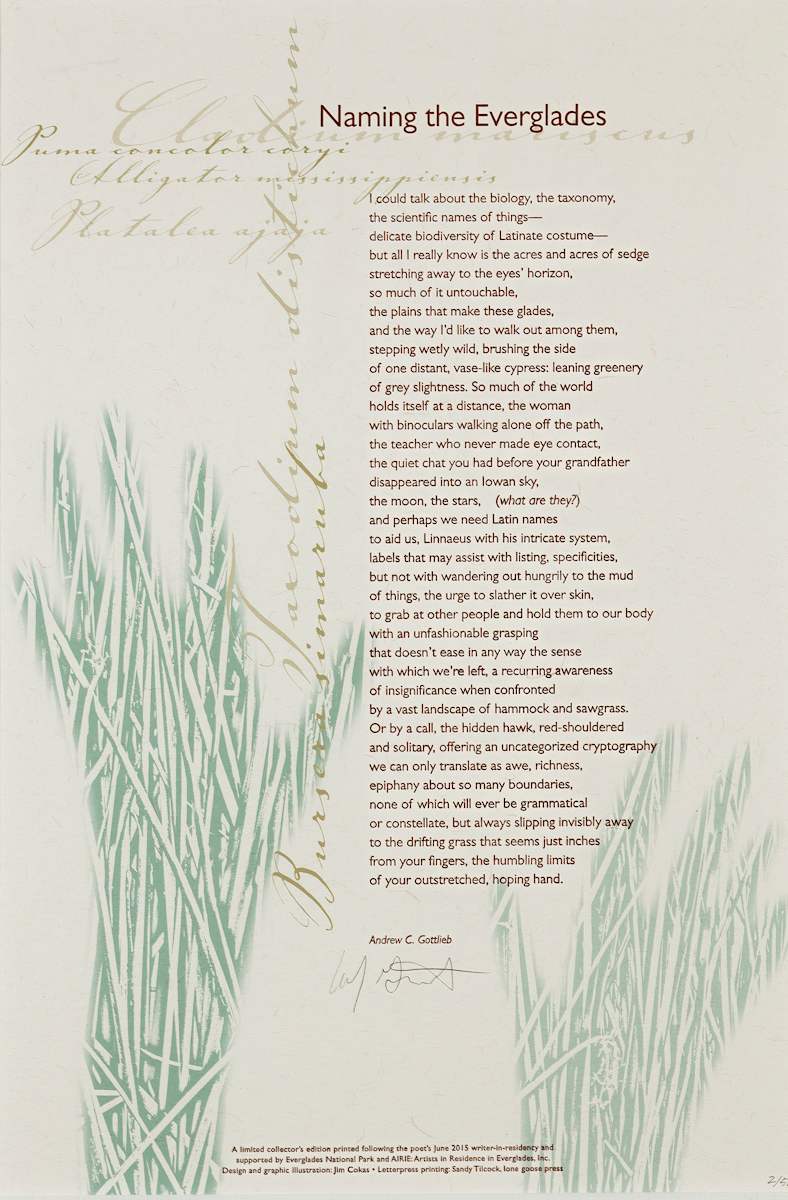 Naming the Everglades by Andrew Gottlieb 
