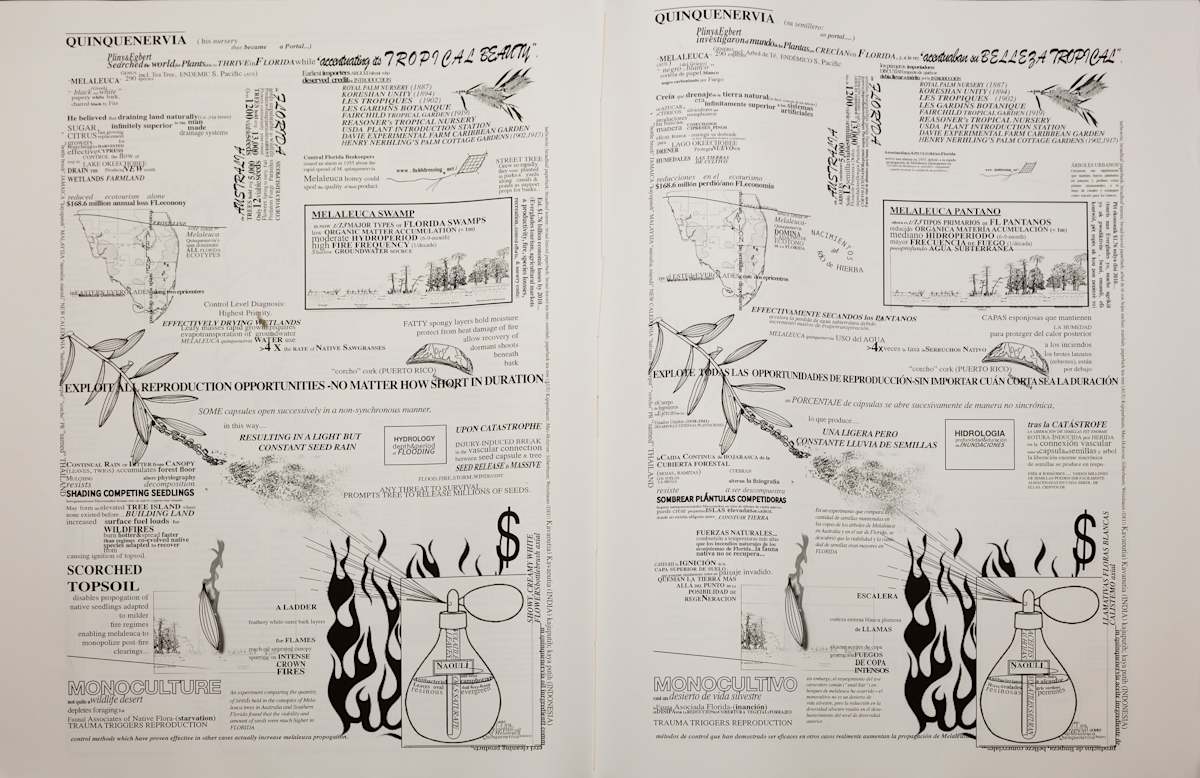 Two Field Guides to Invasive Species by Rachel Johnson 
