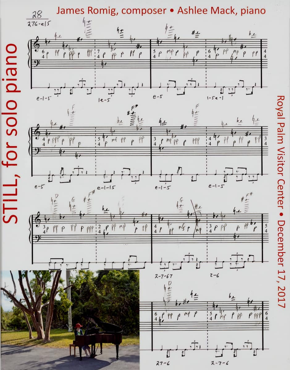 Still by Ashlee Mack, James Romig 