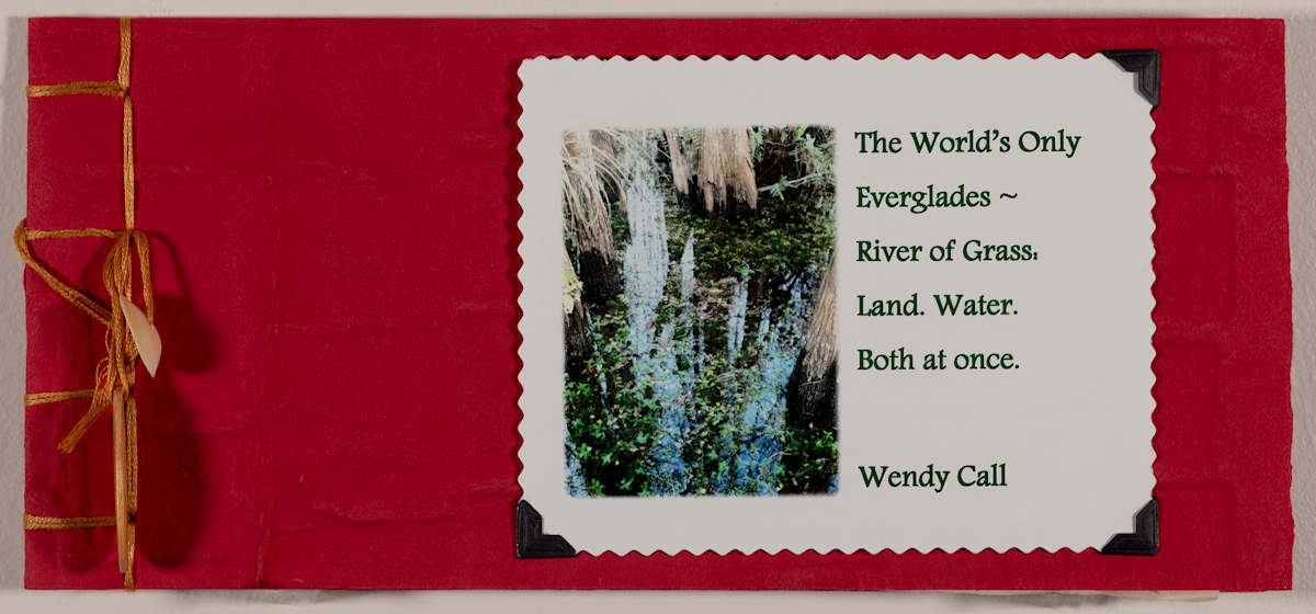 The World's Only Everglades ~ River of Grass: Land. Water. Both at Once by Wendy Call 