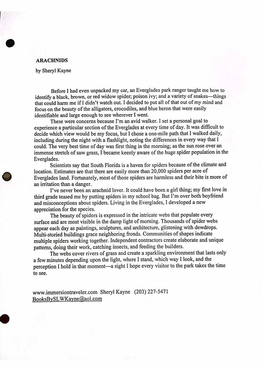 Arachnids by Sheryl Kayne 