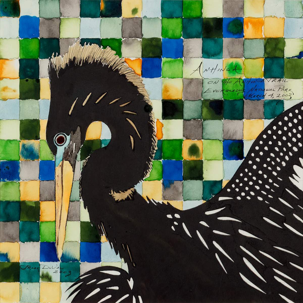 Plaid Anhinga by Frank Duval 
