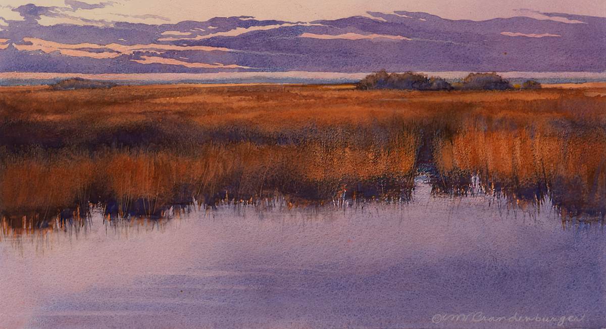Everglades Dawn by Marilynn Brandenburger 