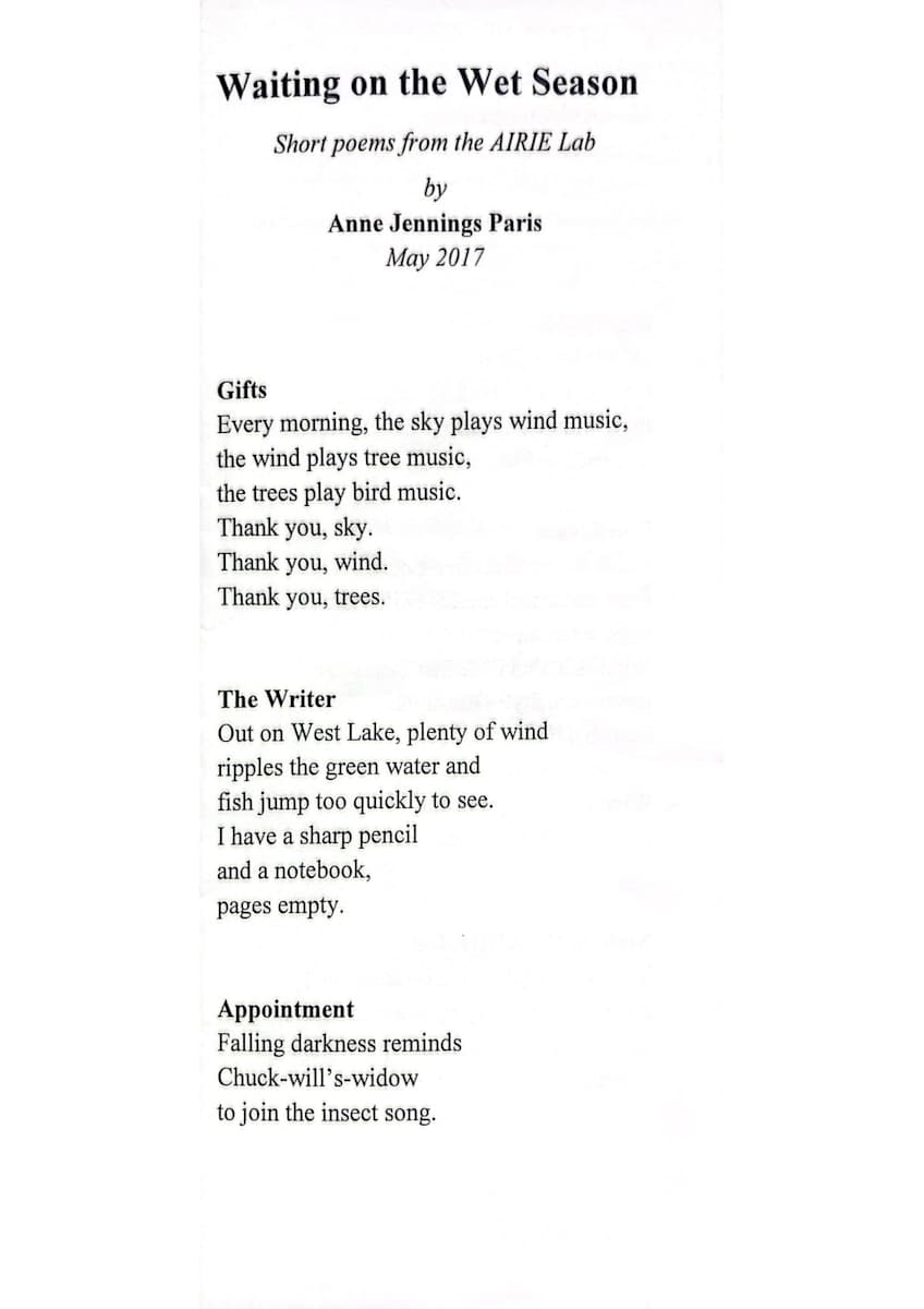 Waiting on the Wet Season by Anne Jennings Paris 