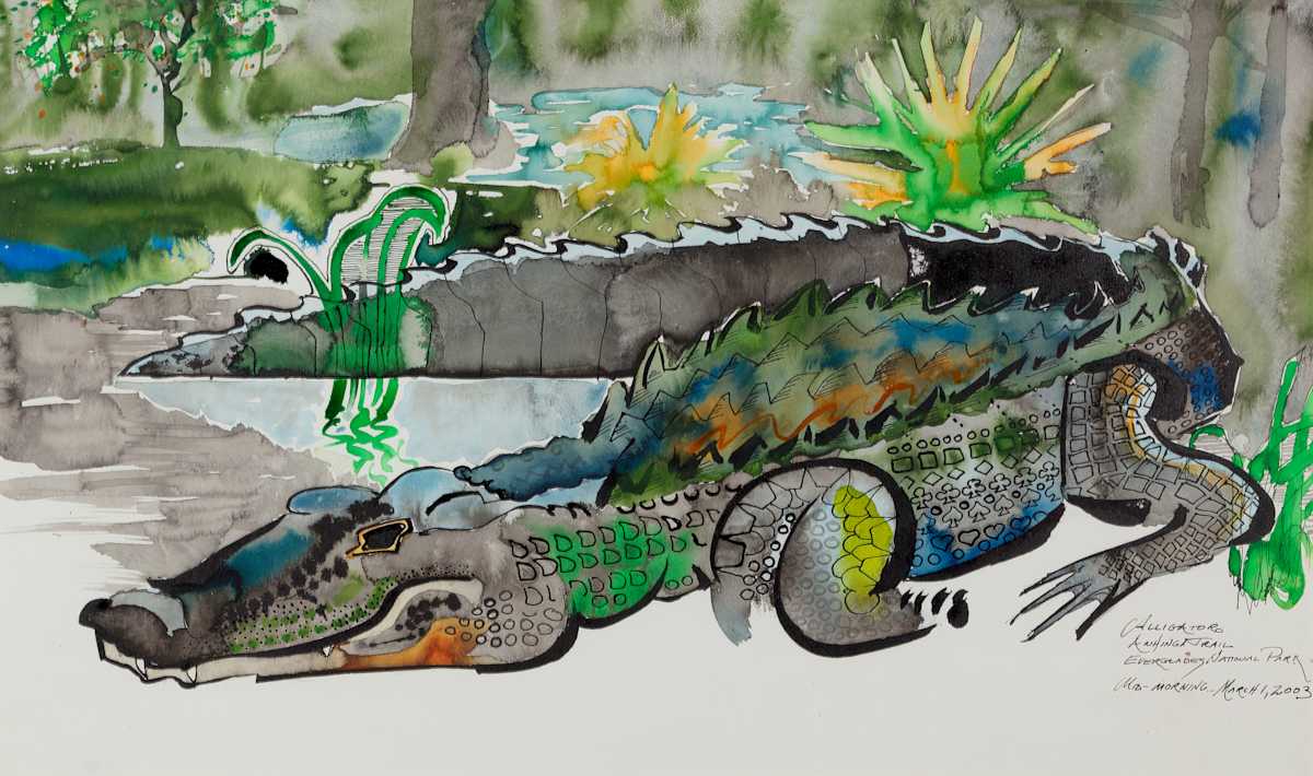 Alligator by Frank Duval 
