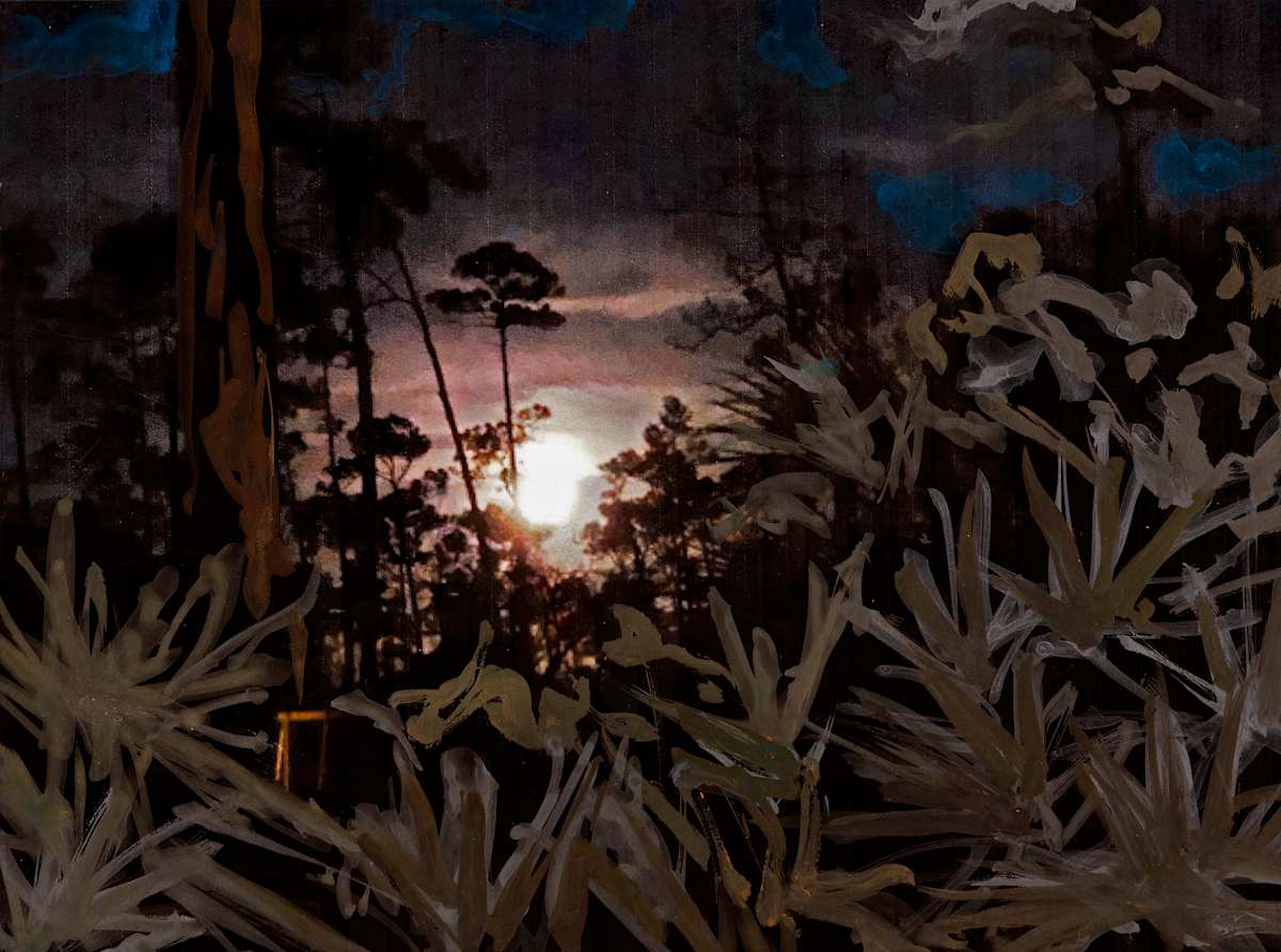 Night Watch in the Everglades by Carol Hendrickson 