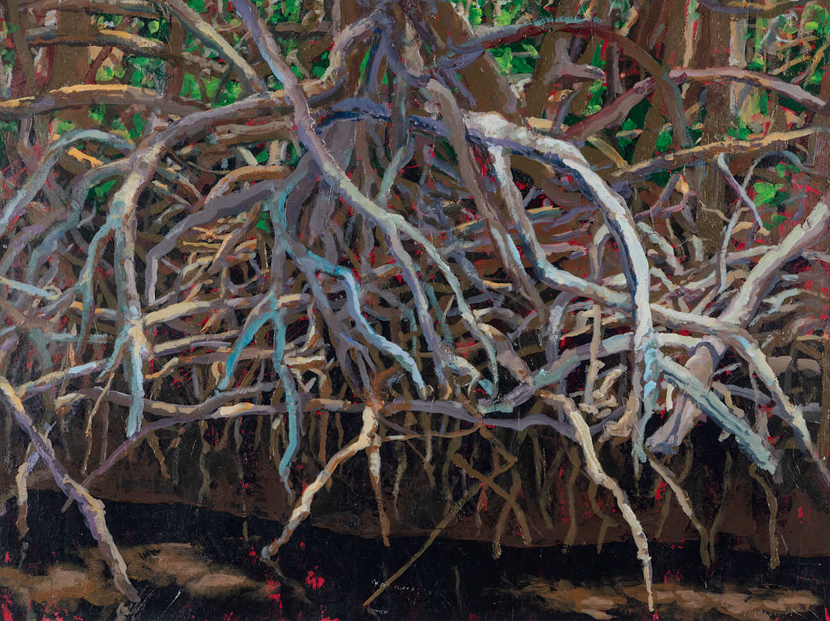 Everglades Nursery: Low Tide by John Louder 