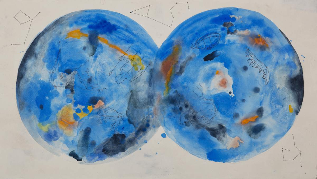 Everglades Star Map #1 by Onajide Shabaka 