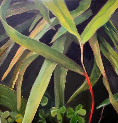 Living in Shadows by Virginia Dixon 