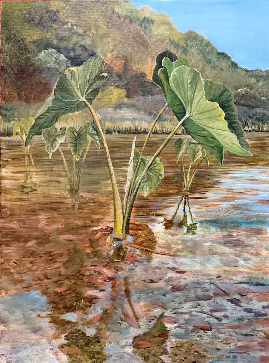 Lo'i by Tina Ah Puck, Image 4.