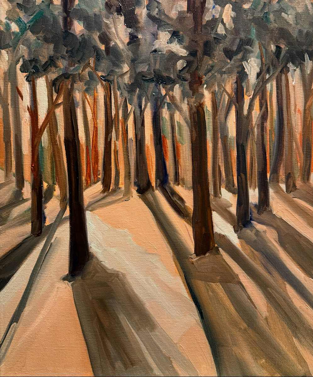 Light Through the Trees by Rachel Houlihan  Image: Light Through the Trees, 18x12, oil on canvas