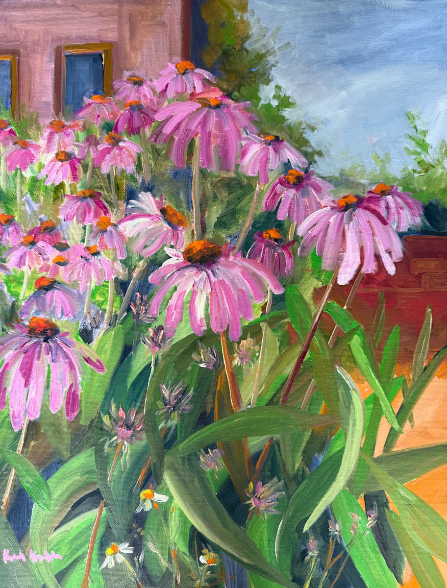Echinacea on Monhegan 3 by Rachel Houlihan 